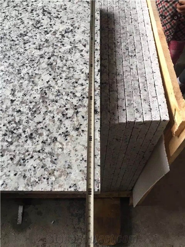 Own Quarry G439/China Bianco Sardo/Big Flower White/Puning White Granite Tiles and Slabs,Beautiful Granite for Floor and Wall Covering Classic Color Granite Made in China