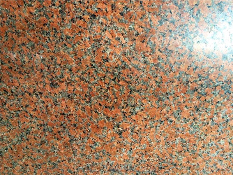 G562 Maple Red Granite Slabs & Tiles, China Red Granite