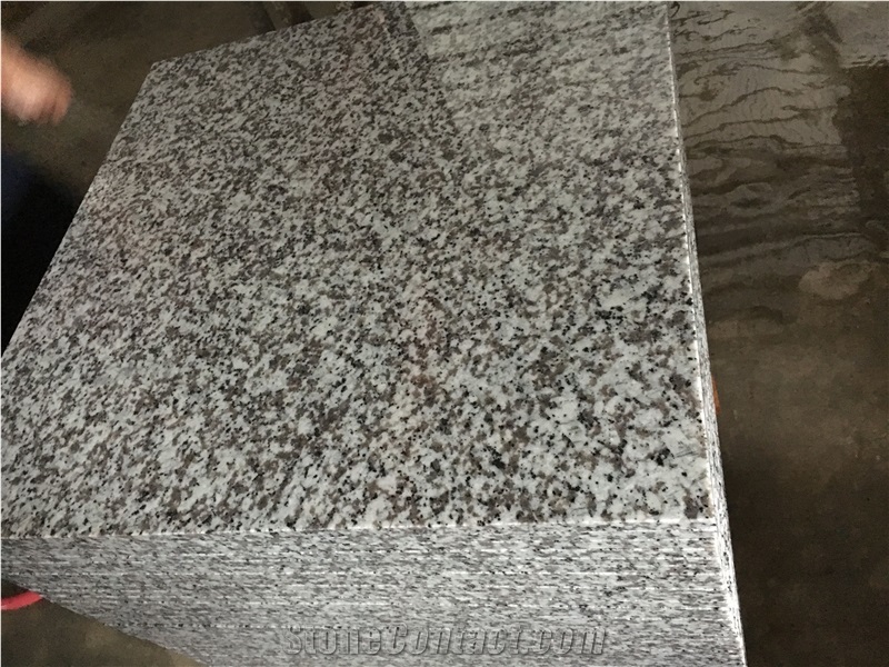 Polished G439 Granite Slabs & Tiles, China White Granite
