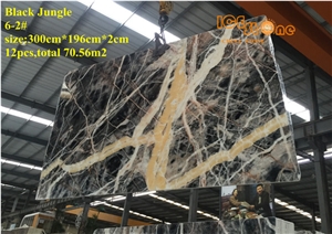 Chinese Black Jungle/Black Marble with Golden Vein/Marble Slabs and Tiles