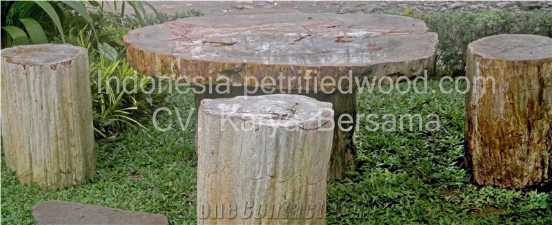 Petrified Wood Table Set