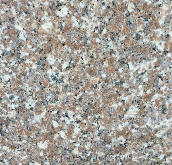 Best Price High Quality China New Polished Granite G648/Golden Brown