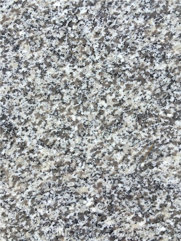 China Cheapest G603 Grey Seasame Granite/Bullnosed Granite Step/Stair Treads/Risers/Staircase/Deck Stair/High Quality Chinese Steps