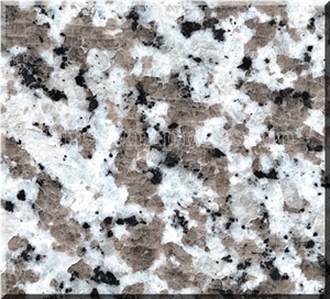 China G439 Natural Granite Slabs & Tiles/Good Price & High Quality/Own Factory Direct G439/China Bianco Sardo/Big White Flower Granite/Cut-To-Size for Floor Covering and Wall Cladding/White Granite