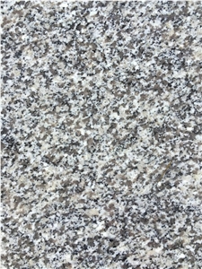 Hot Sale China Cheapest G603 Grey Seasame Granite/Bullnosed Granite Step/Stair Treads/Risers/Staircase/Deck Stair/High Quality Chinese Steps/Best Price Granite