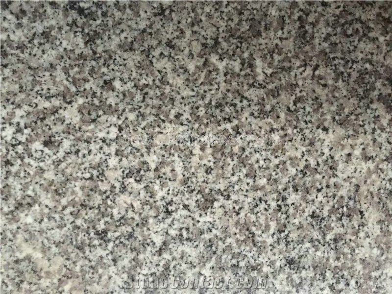 Hot Sale Chinese G603 Slabs & Tiles/Sesame White Granite Tiles/China Good Price Grey Granite/Crystal Grey/G603/Gamma Bianco/Gamma White/Ice Cristall/White & Gray Granite Wall & Floor Covering Tiles
