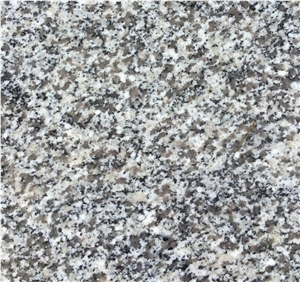 Hot Sale New G603 Granite Tiles/Silver Grey Granite Slabs/Sesame White Granite/Crystal Grey Granite/Light Grey Granite/China Best Price Granite Wall & Floor Covering Cut to Size/High Quality Granite