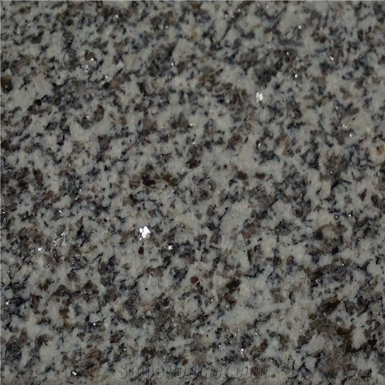 Polished Surface Finishing Black and White Granite from Xinjiang Quarry