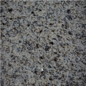 Tianshan White Granite Tiles for Building Materials Company