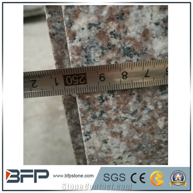G664 Granite, Copper Browm, Luoyuan Red Granite, Luoyuan Violet Kitchen Countertop/Bench Tops, Polished Surfance and Bull Nose Edge Treatment