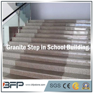 G664 Pink Granite Step for Stairs or G383 Grey Granite Steps or Riser