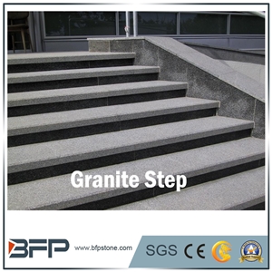 Grey Grantie Step & White Granite Riser for Staircase