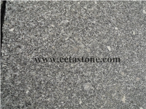 G341 Granite & China Granite &G341 Grey Ganite