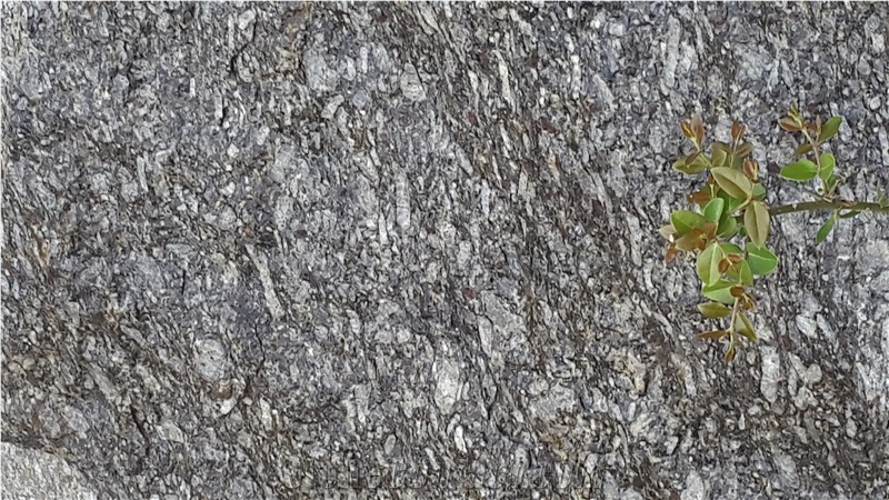 Raw Granite Blocks Of Various Sizes Unpolished