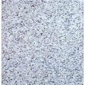 Shell White Granite