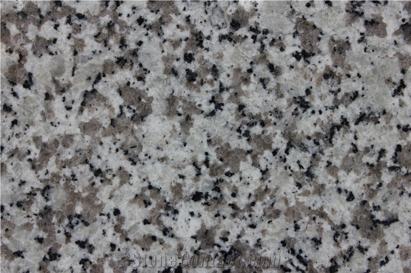 G439 Granite, China Shandong Laizhou White Granite Slab, Polished Finish, Granite Tile Polishing, Floor Polishing, Wall and Floor Covering, Walling, Flooring, Skirting, Paving Stone
