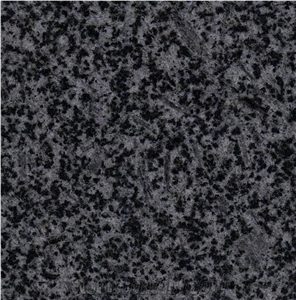 G654 Granite, China Shandong Laizhou Grey Granite Slab, Granite Tile, Natural Stone, Building Stone, Wall Cladding Tile, Floor Tile, Interior Stone