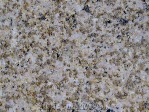 Padang Giallo Granite, China Shandong Laizhou Yellow Granite Slab, Granite Tile, Natural Stone, Building Stone, Wall Cladding Tile, Floor Tile, Interior Stone