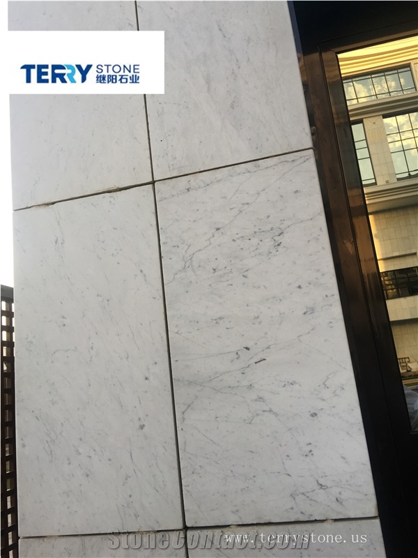Italy Carrara White Slabs/Tiles for Hotel Building Exterior Wall Decoration or Covering