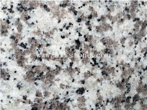Luna Pearl Granite Slabs, Big White Flower Granite Slabs, G439 Granite Slabs, China Big Granite Slabs