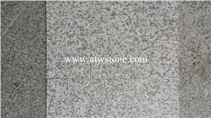 New G603 Grey Granite from Xiamen