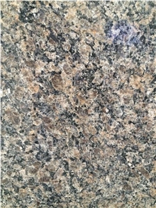 Royal Brown Granite/Pearl Brown Grainte/Royal Pearl Granite Tile & Slab