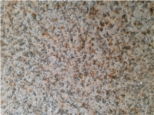 Shandong Wenshang G350 Yellow Rusty Granite Flamed Surface Tiles and Slabs Cheap Price