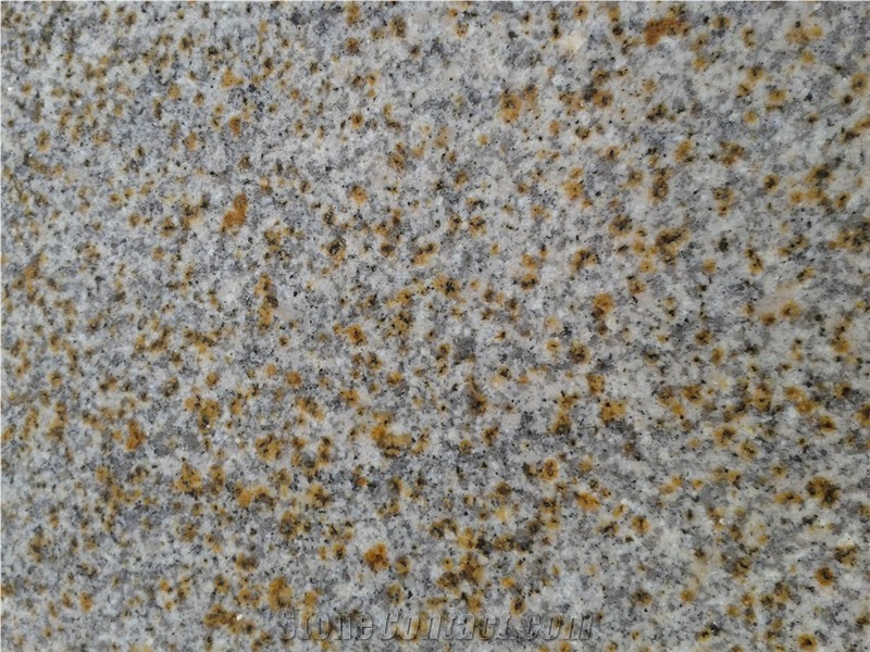 Shandong Wenshang G350 Yellow Rusty Granite Polished Slabs Tiles Cheap Prices