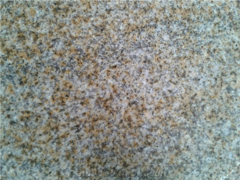 Shandong Wenshang G350 Yellow Rusty Granite Polished Slabs Tiles Cheap Prices