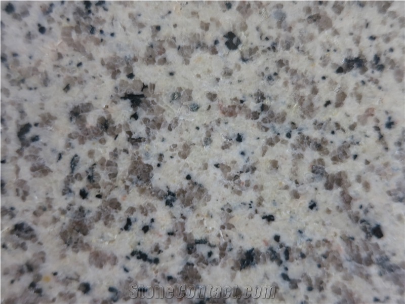 Beige Yellow Granite Slabs