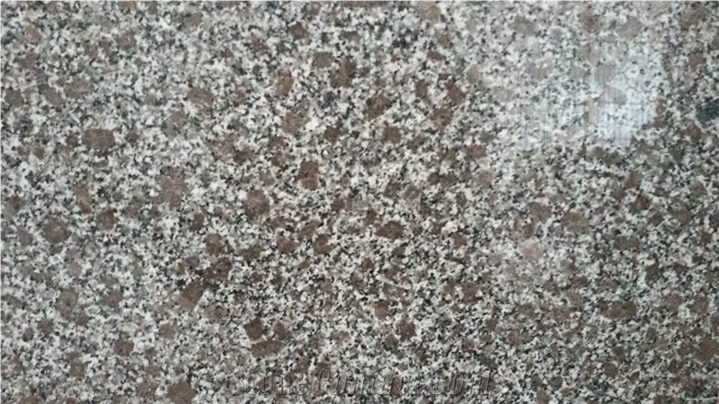 Pc Violet Granite Slabs & Tiles, Brown Polished Granite Floor Tiles, Wall Tiles Viet Nam