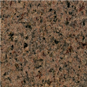 Ancient Brown Granite Slabs