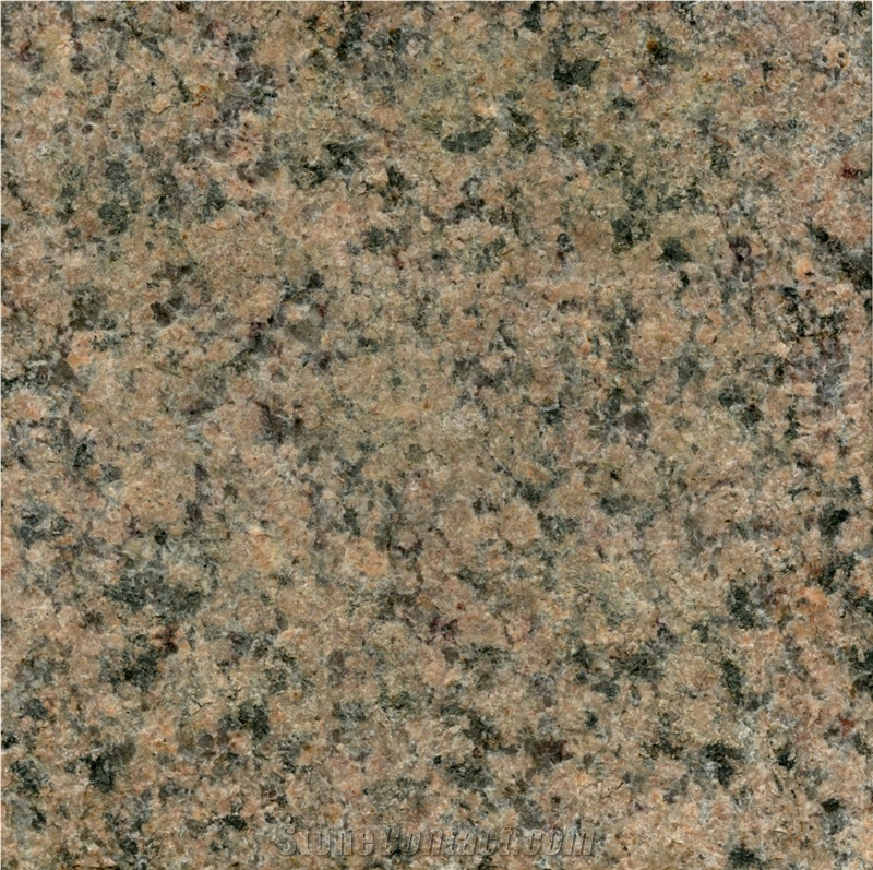 Ancient Brown Granite Slabs