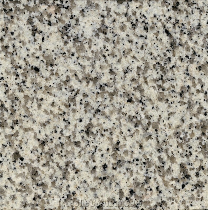 Saudi Bianco Granite Slabs