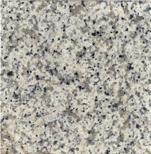Saudi Bianco Granite Slabs, Saudi Arabia White Granite