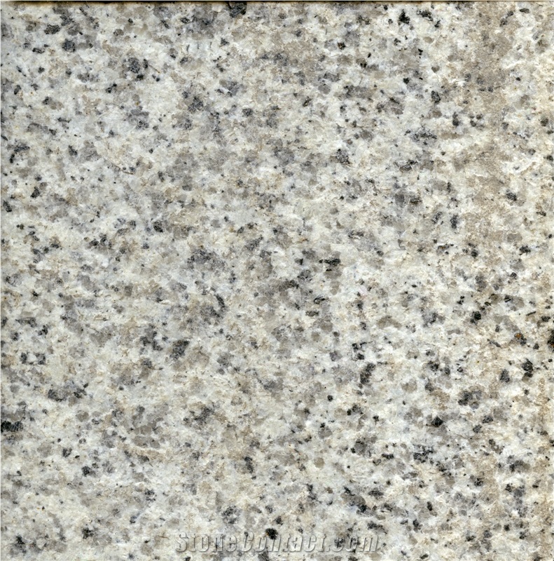 Saudi Bianco Granite Slabs, Saudi Arabia White Granite