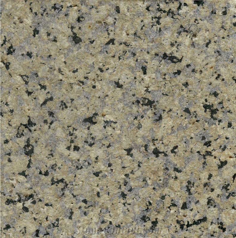 Silver Green Granite Slab