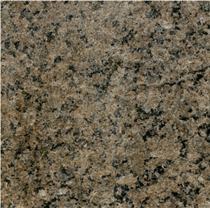 Tropical Brown Granite Slab, Saudi Arabia Brown Granite