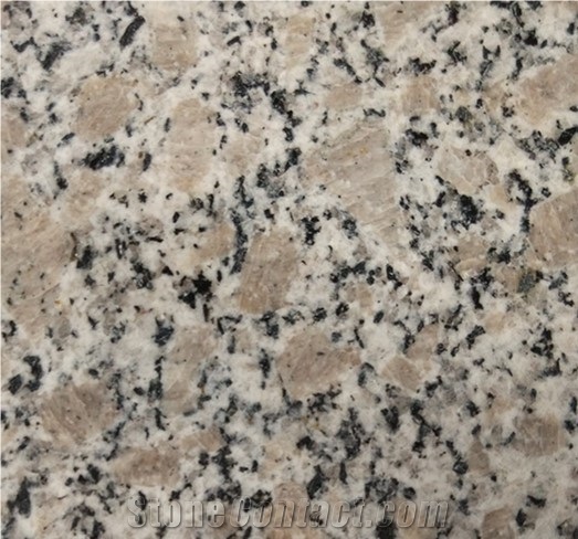 G383 Pearl Flower Granite Slabs & Tiles ,Granite Wall/Floor Covering