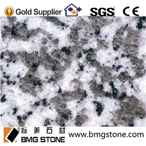 Cheap Chinese Black Granite G439 Slabs & Tiles, China White Granite