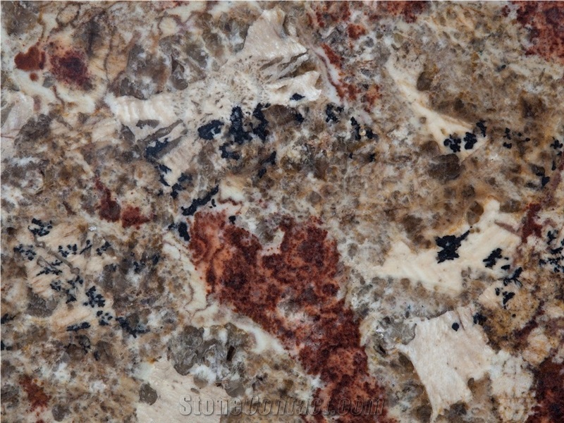 Bellini Brown Beauty Granite Slabs