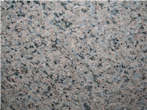 Castor Blue Granite Slabs
