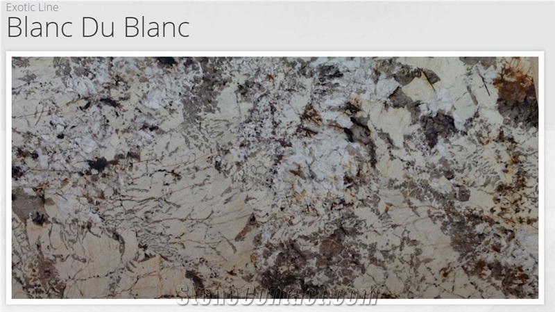 Exotic Line - Blanc Du Blanc Granite Slabs