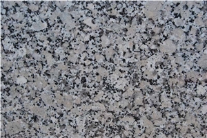Gris Perla Granite Slabs, Tiles, Grey Polished Granite Floor Tiles, Wall Tiles