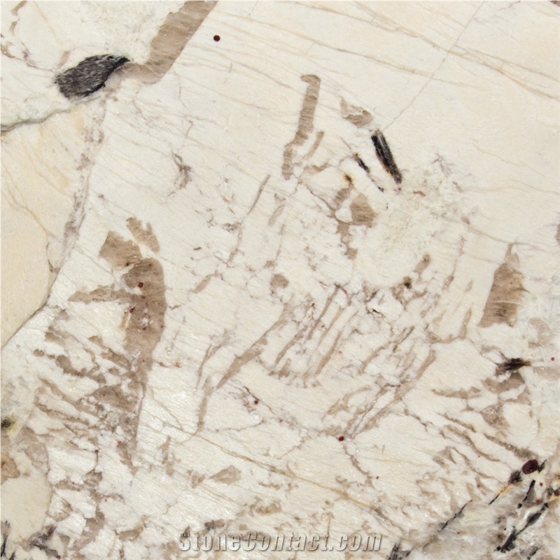 Antartida Cream Granite Wall and Floor Tiles