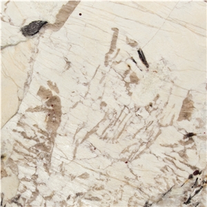 Antartida Cream Granite Wall and Floor Tiles