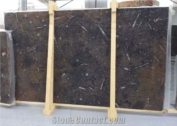 Fossile Marrone - Fossil Brown Marble Slabs