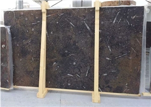 Fossile Marrone - Fossil Brown Marble Slabs