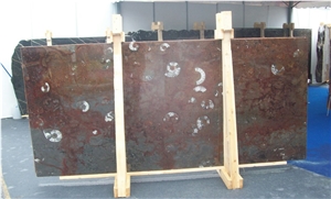 Macrofossile - Gran Fossil Marble Slabs