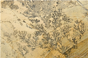 Dendrite Ferns Irregular Flagstone